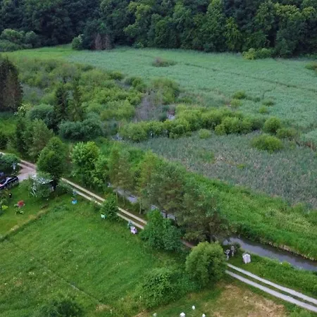 فيلة Pod Lasem *