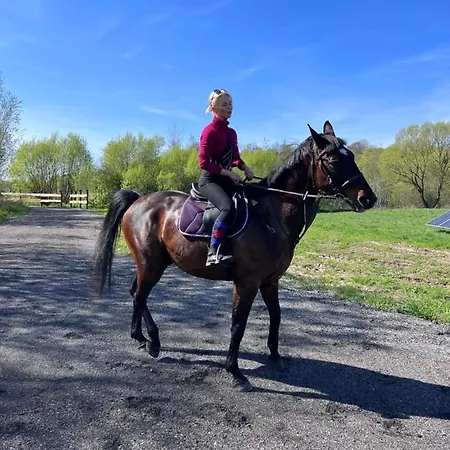 Pod Lasem فيلة Pasłęk