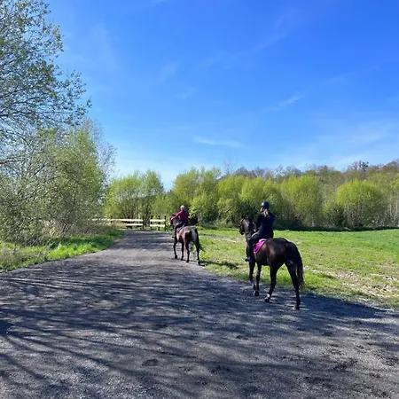 Pod Lasem فيلة Pasłęk